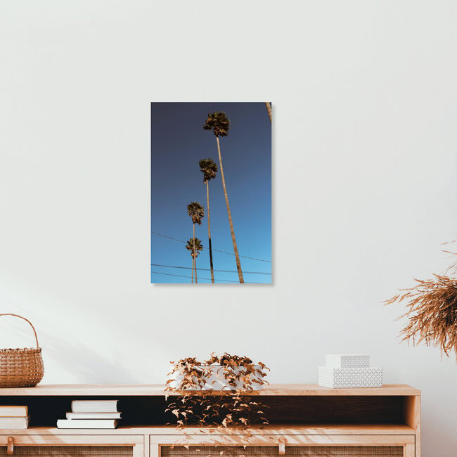 Everything is better with Palm Trees, United States – wall art by Ari Stippa as Poster or Acrylic Glass Print