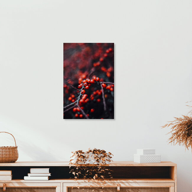 red berries of the firethorn in the winter, Germany – wall art by Nadja Jacke as Poster or Acrylic Glass Print