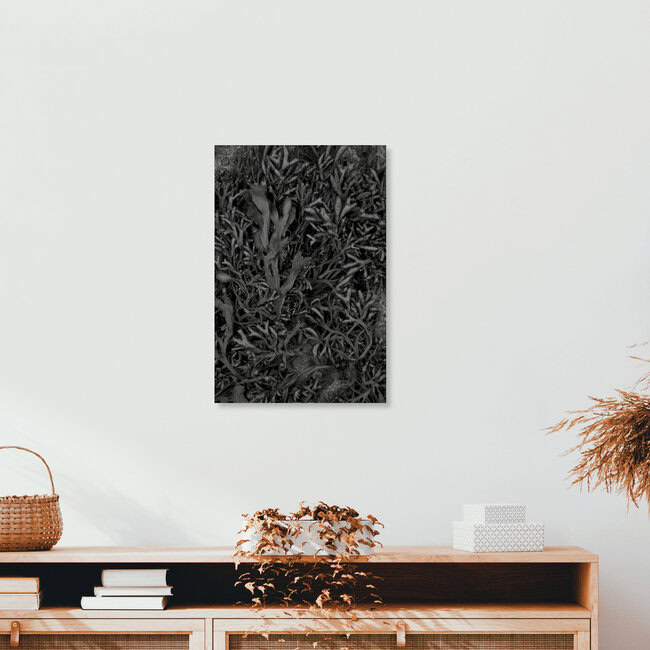 Love from the Sea, Ireland – wall art by Studio Na.hili as Poster or Acrylic Glass Print