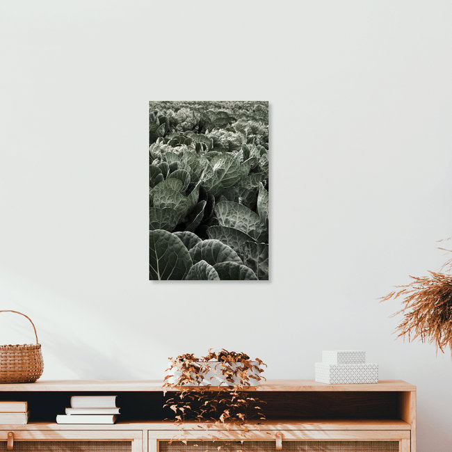 Eat your Greens, Germany – wall art by Studio Na.hili as Poster or Acrylic Glass Print