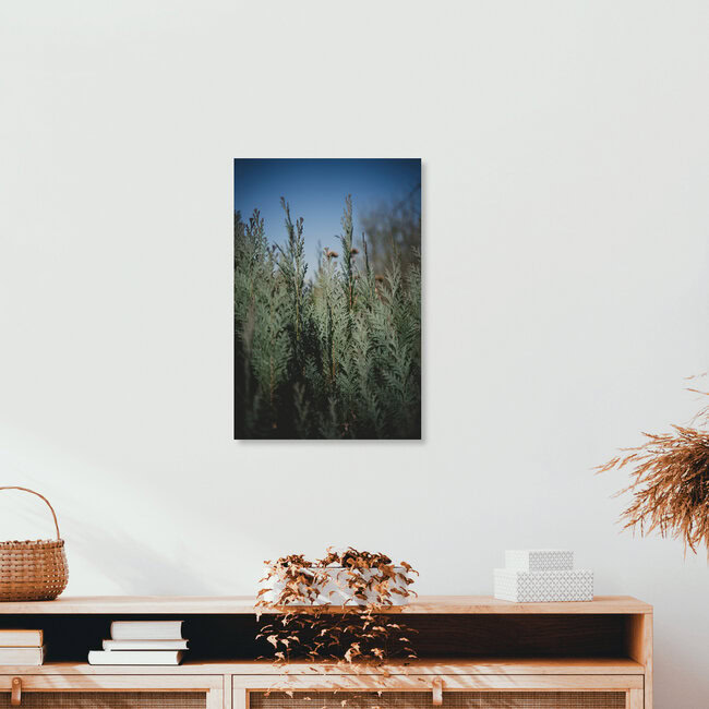 Evergreen II, Germany – wall art by Stephanie Hagenstein as Poster or Acrylic Glass Print