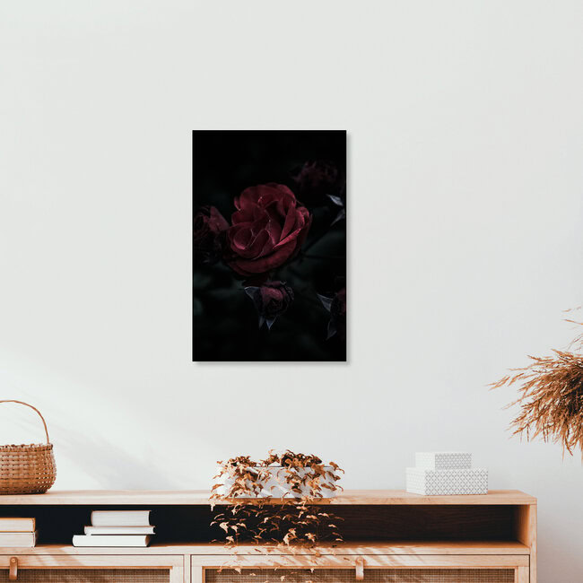 The dark rose, Deutschland – Fotokunst von Andrea Hansen als Poster oder Acrylglasbild