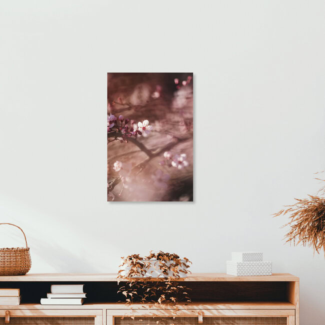 Kirschblüten in der Frühlingssonne, Deutschland – Fotokunst von Nadja Jacke als Poster oder Acrylglasbild