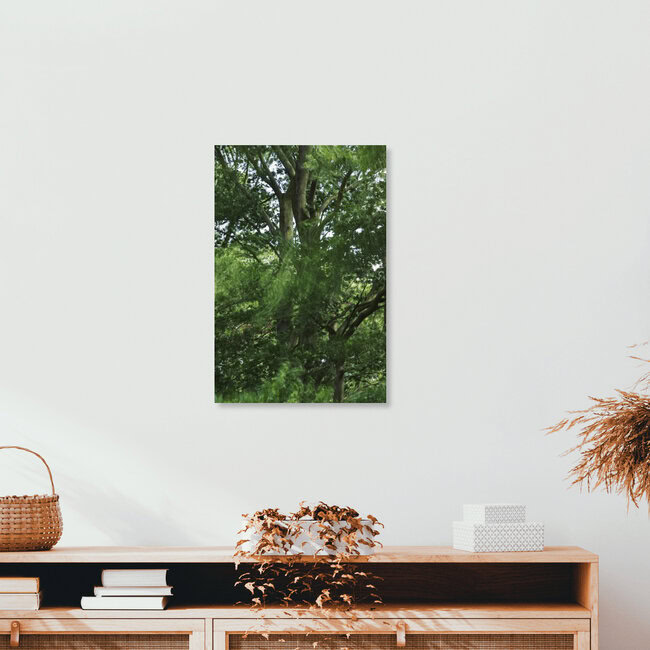 Buche vom Wind umweht, Deutschland – Fotokunst von Nadja Jacke als Poster oder Acrylglasbild