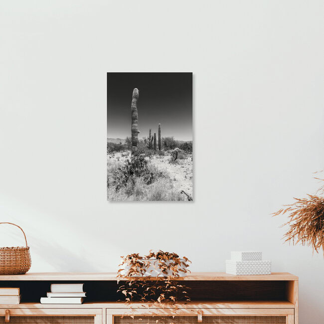 SAGUARO NATIONAL PARK Desert Impression, United States – wall art by Melanie Viola as Poster or Acrylic Glass Print