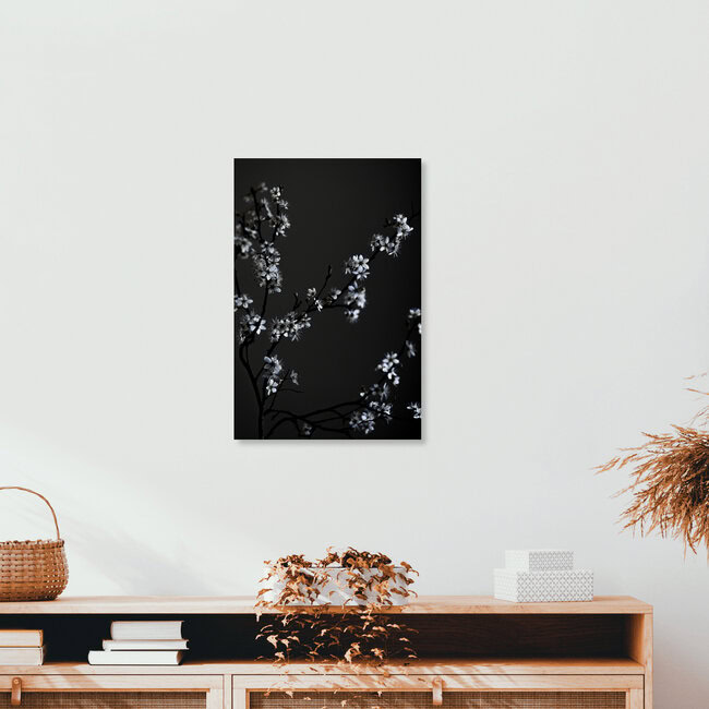 Moody Flower Beauty, Deutschland – Fotokunst von Studio Na.hili als Poster oder Acrylglasbild
