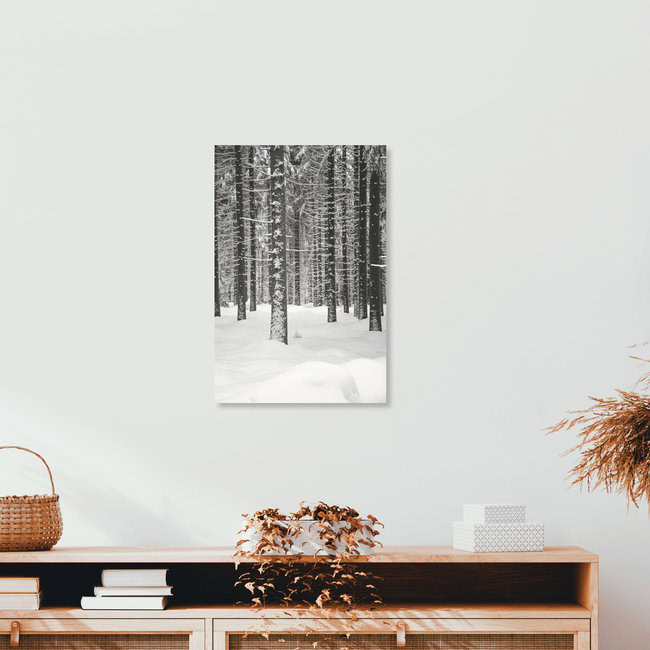 Deep Dark White Forest, Czech Republic – wall art by Studio Na.hili as Poster or Acrylic Glass Print