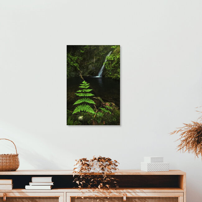 Asturias Waterfall Cascada Gorgollon with fern, Spain – wall art by Jean Claude Castor as Poster or Acrylic Glass Print
