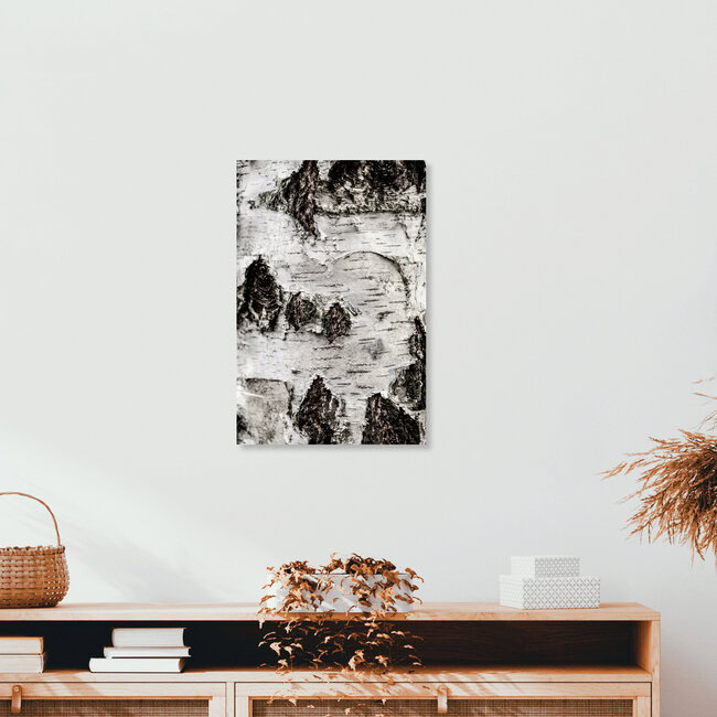 Birch Tree 2, Deutschland – Fotokunst von Mareike Böhmer als Poster oder Acrylglasbild