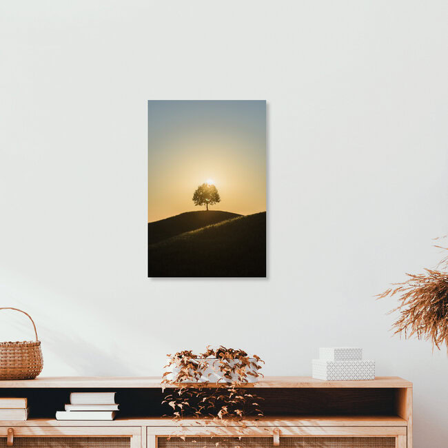 Lindenbaum, Schweiz – Fotokunst von Thomas Staubli als Poster oder Acrylglasbild