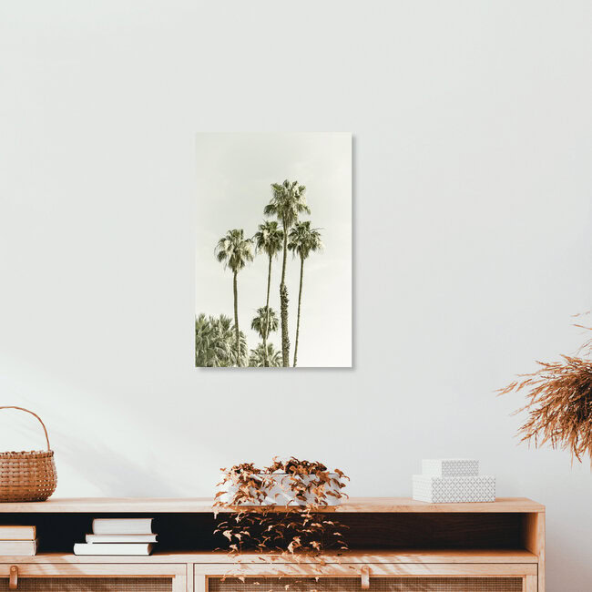 Palm Trees at the beach | Vintage, United States – wall art by Melanie Viola as Poster or Acrylic Glass Print