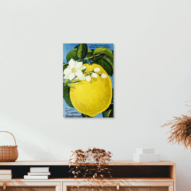 Wandbild 'The Wonderful New Lemon Ponderosa' – Kunst von Vintage Nature Graphics als Poster oder Acrylglasbild