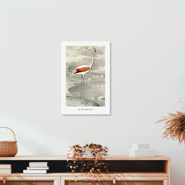 'Le Flammant' – Wall Art by Vintage Nature Graphics as Poster or Acrylic Glass Print