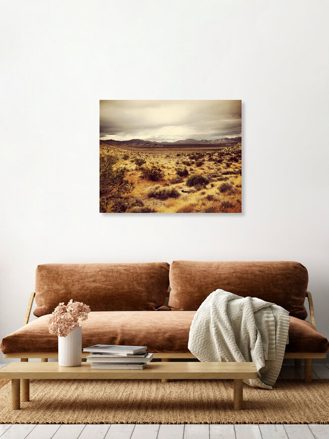 Desert #8, Vereinigte Staaten – Fotokunst von Michael Brandone als Poster oder Acrylglasbild
