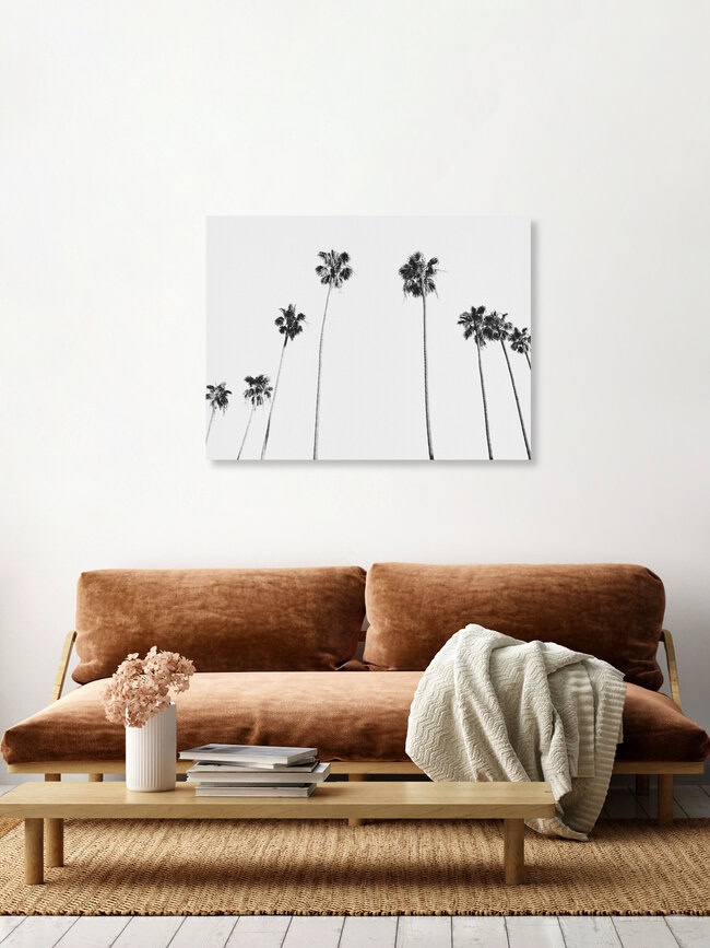 Black & White Palms, United States – wall art by Gal Pittel as Poster or Acrylic Glass Print
