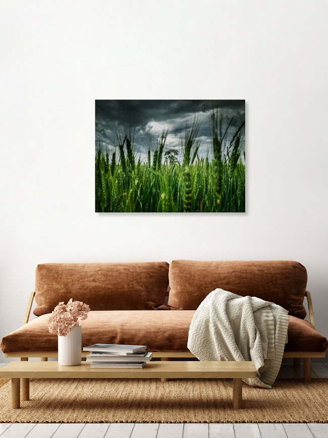 The Storm, United States – wall art by Greg Hogan as Poster or Acrylic Glass Print