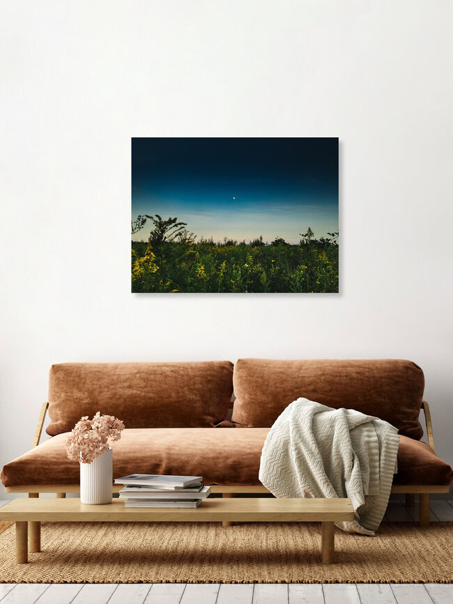 The Moon, United States – wall art by Greg Hogan as Poster or Acrylic Glass Print