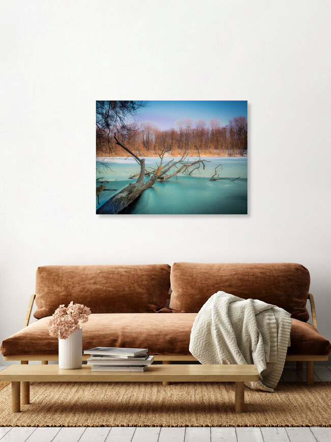 Winter am See, Deutschland – Fotokunst von Harald Tüchler als Poster oder Acrylglasbild