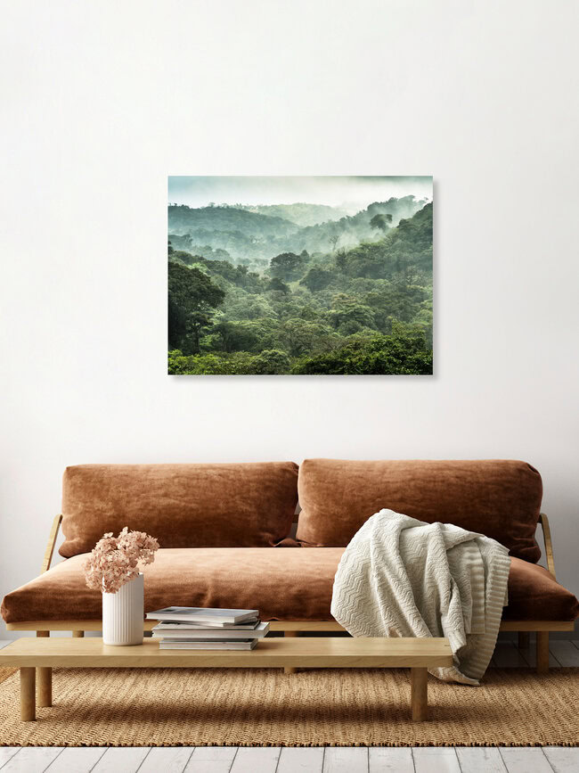 Der Nebelwald von Monteverde 2, Costa Rica – Fotokunst von Johann Oswald als Poster oder Acrylglasbild
