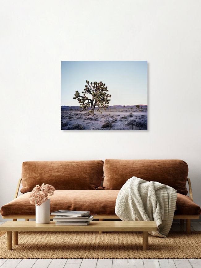 Joshua Tree - Death Valley.* USA, Vereinigte Staaten – Fotokunst von Ronny Ritschel als Poster oder Acrylglasbild