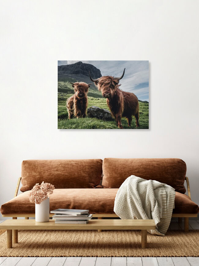 Die heimlichen Könige der Färoer., Färöer Inseln – Fotokunst von Dominic Lars als Poster oder Acrylglasbild