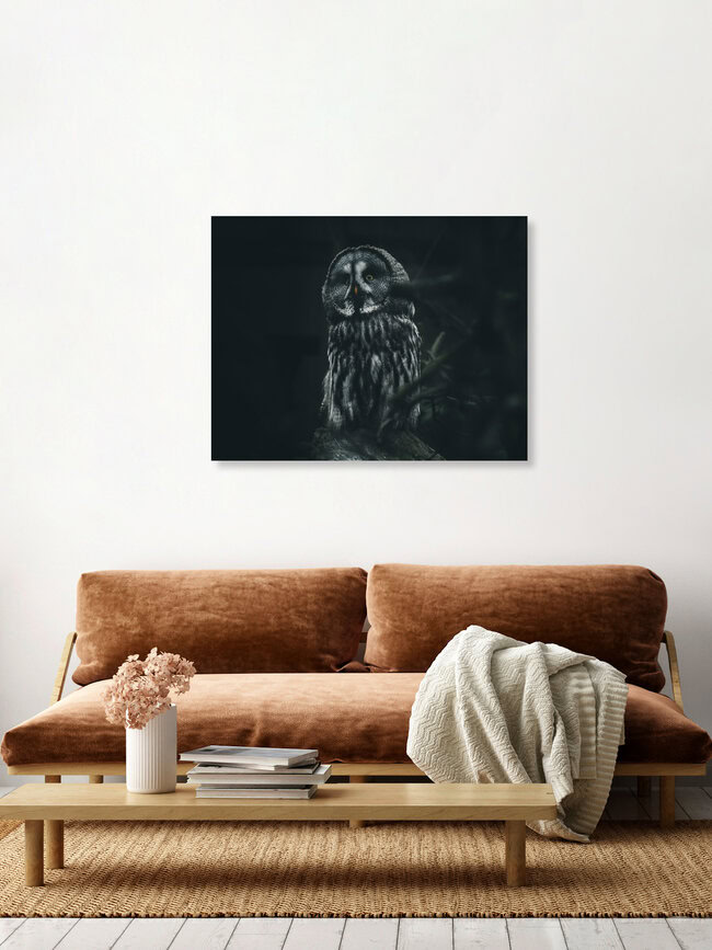 Wizard Owl, Deutschland – Fotokunst von Quentin Strohmeier als Poster oder Acrylglasbild
