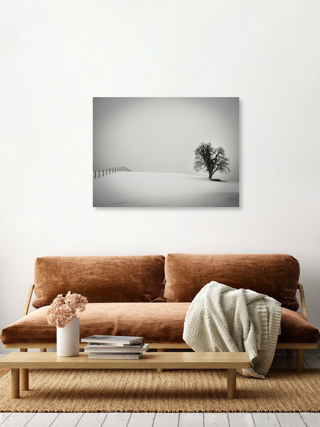 ein Baum und ein Zaun, Österreich – Fotokunst von Bernd Grosseck als Poster oder Acrylglasbild