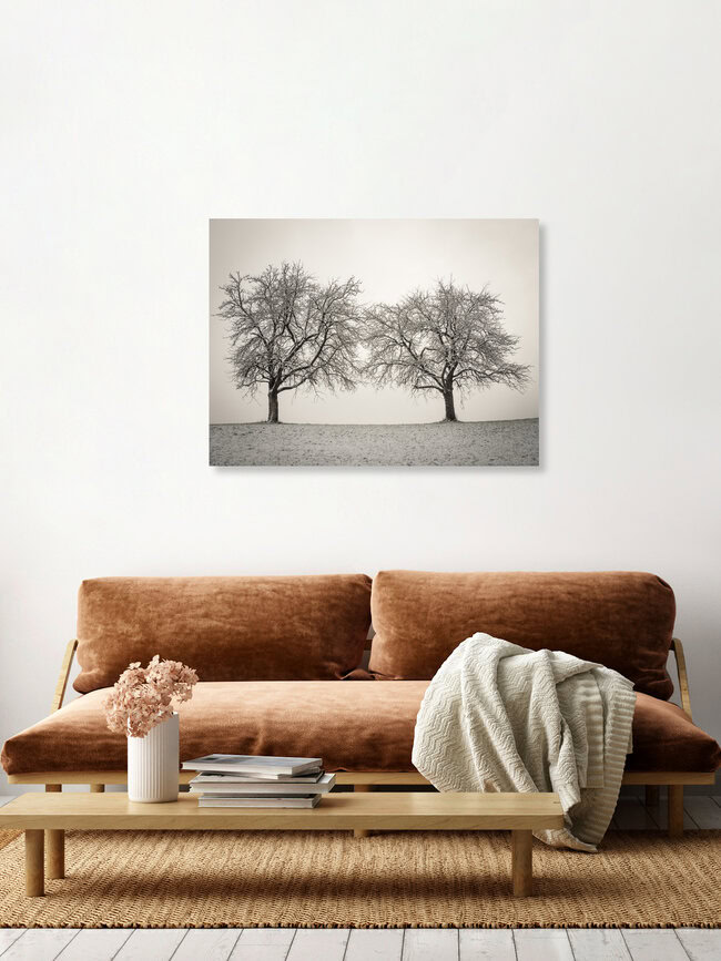 Zwei Winterbäume, Österreich – Fotokunst von Bernd Grosseck als Poster oder Acrylglasbild