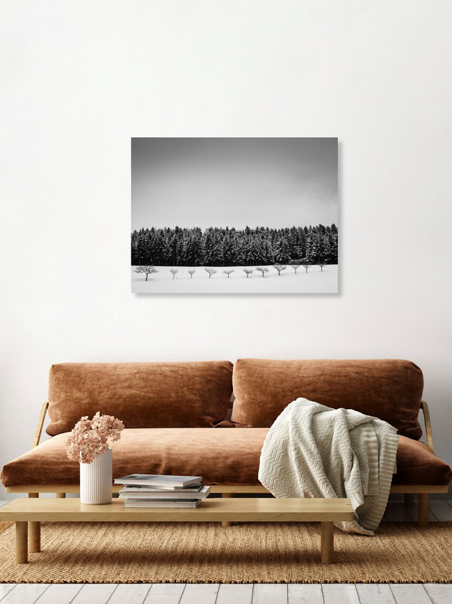 Baumreihe im Winter, Österreich – Fotokunst von Bernd Grosseck als Poster oder Acrylglasbild