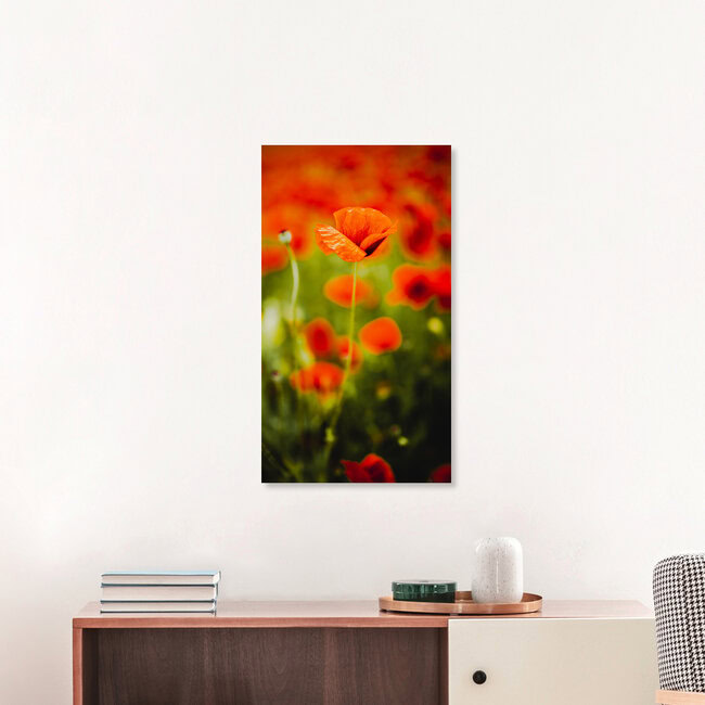 Blossom, Germany – wall art by Nicklas Walther as Poster or Acrylic Glass Print