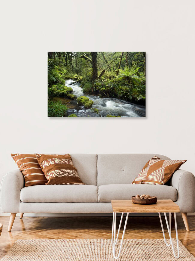 Moose, Farne und Wasser im Regenwald von Neuseeland, Neuseeland – Fotokunst von Stefan Blawath als Poster oder Acrylglasbild