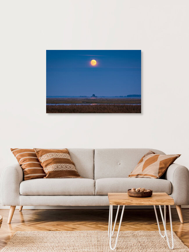 1000 Kraniche im Vollmond, Deutschland – Fotokunst von Martin Wasilewski als Poster oder Acrylglasbild