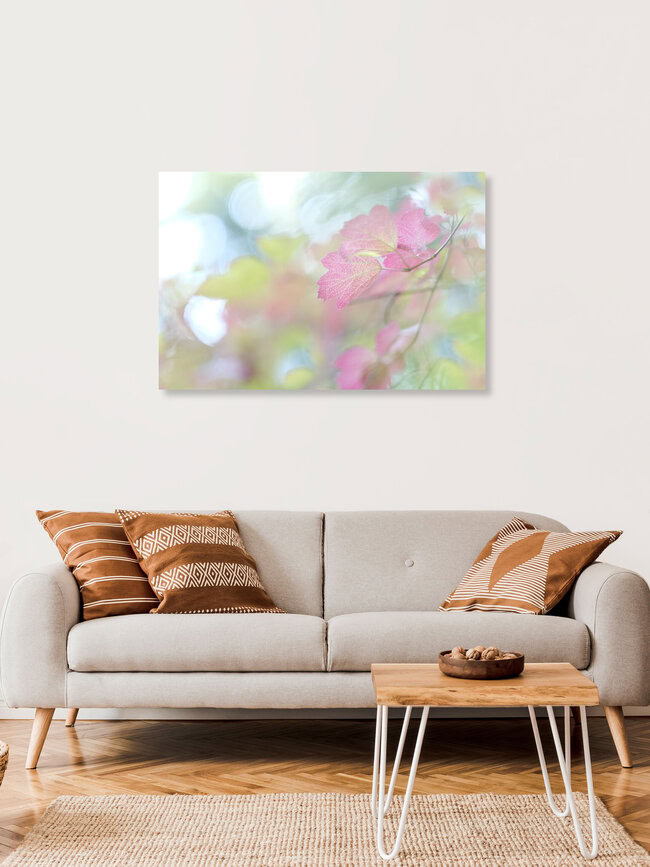 Pink Leaf, Deutschland – Fotokunst von Torsten Kupke als Poster oder Acrylglasbild
