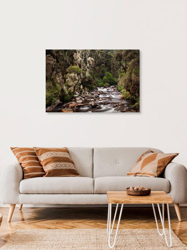 Bujuku River, Uganda – Fotokunst von Boris Buschardt als Poster oder Acrylglasbild