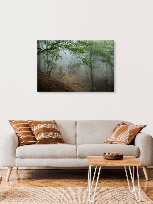 Fog in spring in forest, Germany – wall art by Nadja Jacke as Poster or Acrylic Glass Print
