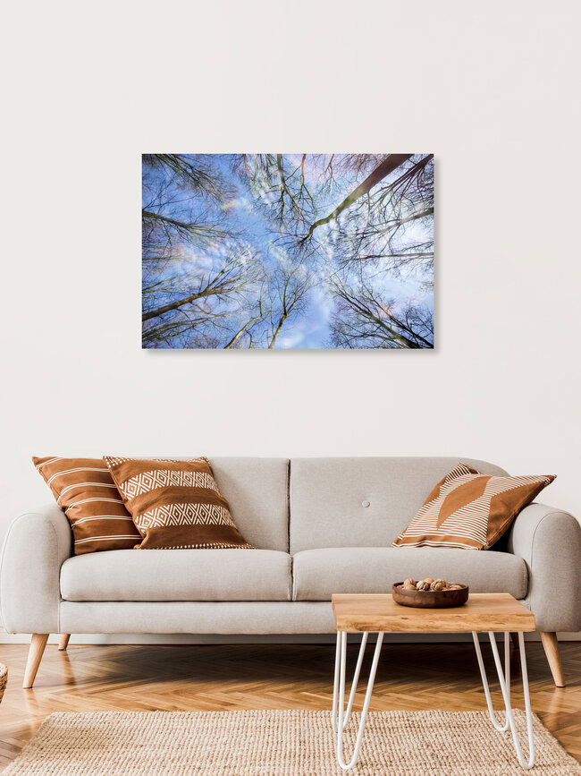 Wald Himmel Doppelbelichtung, Deutschland – Fotokunst von Nadja Jacke als Poster oder Acrylglasbild