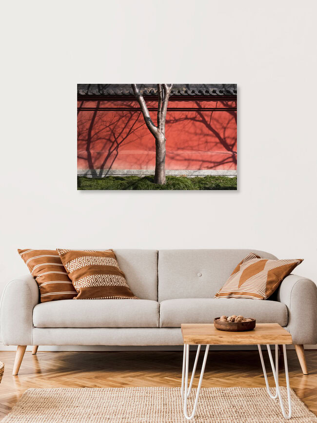Tree Shade, China – Fotokunst von AJ Schokora als Poster oder Acrylglasbild