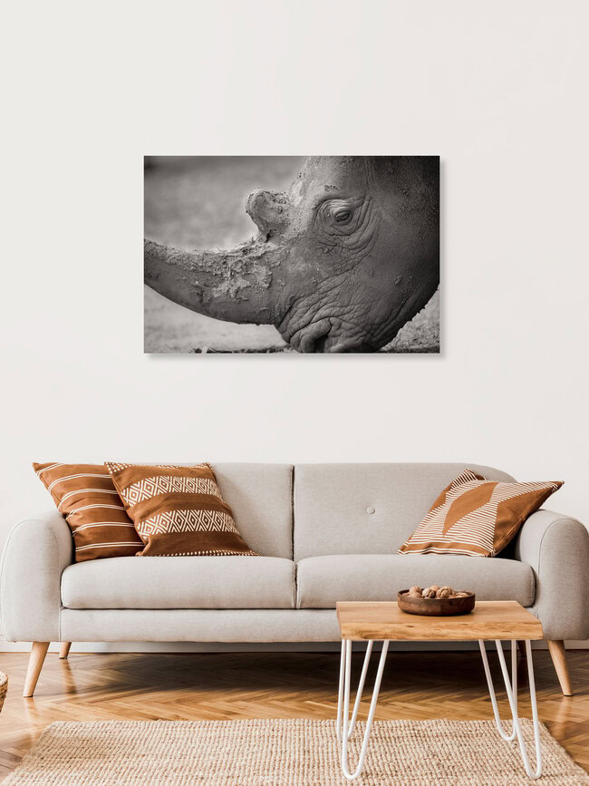 Portrait Rhino, Germany – wall art by Dennis Wehrmann as Poster or Acrylic Glass Print