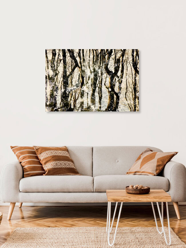 Wald-Wasser-Doppel, Deutschland – Fotokunst von Nadja Jacke als Poster oder Acrylglasbild
