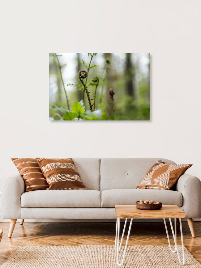 Farn Rolle, Deutschland – Fotokunst von Nadja Jacke als Poster oder Acrylglasbild