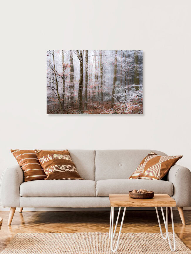 Märchenwald, Deutschland – Fotokunst von Sascha Hoffmann-Wacker als Poster oder Acrylglasbild