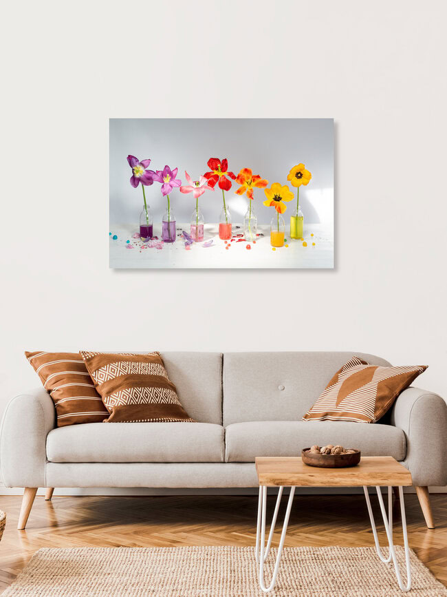Tulpen Stillleben, Belgien – Fotokunst von Gloria Jansen als Poster oder Acrylglasbild