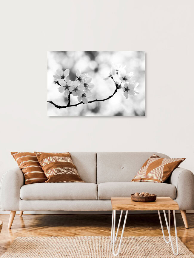 Magie des Frühlings, Deutschland – Fotokunst von Manuela Deigert als Poster oder Acrylglasbild