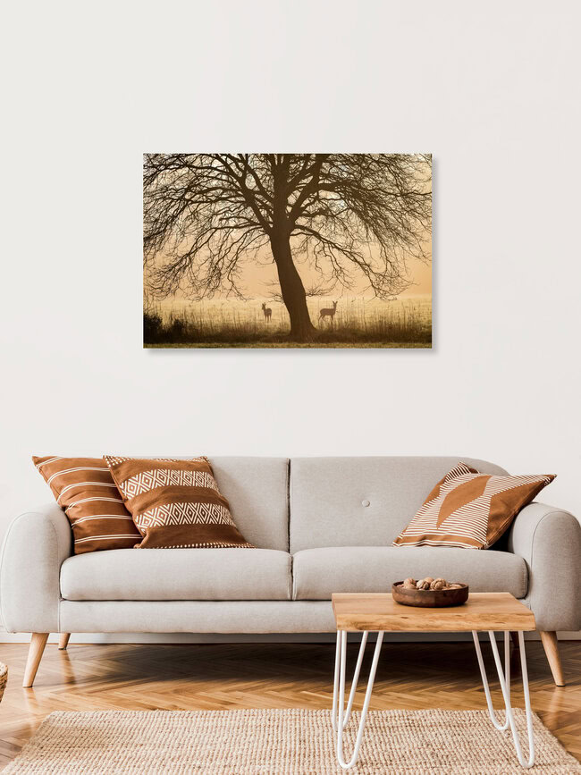 Rehe im Sonnenaufgang, Deutschland – Fotokunst von Nils Steiner als Poster oder Acrylglasbild
