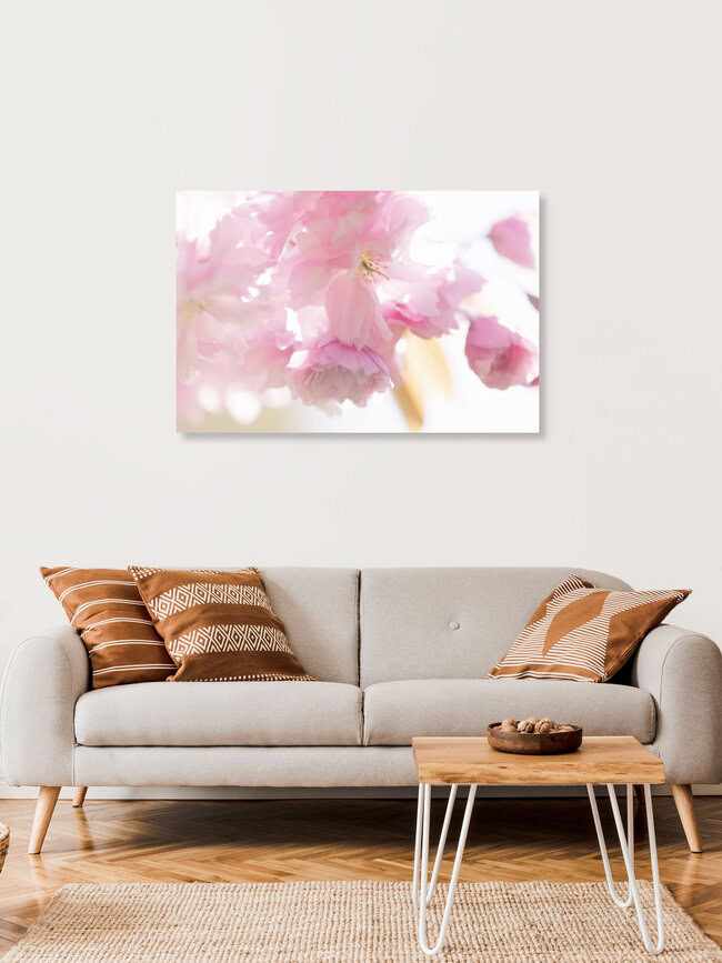 Cherry Blossom in Backlight, Germany – wall art by Nadja Jacke as Poster or Acrylic Glass Print