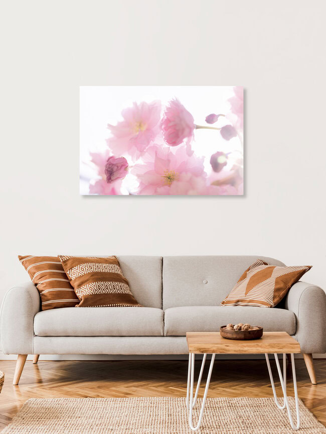 Cherry Blossom in Backlight, Germany – wall art by Nadja Jacke as Poster or Acrylic Glass Print