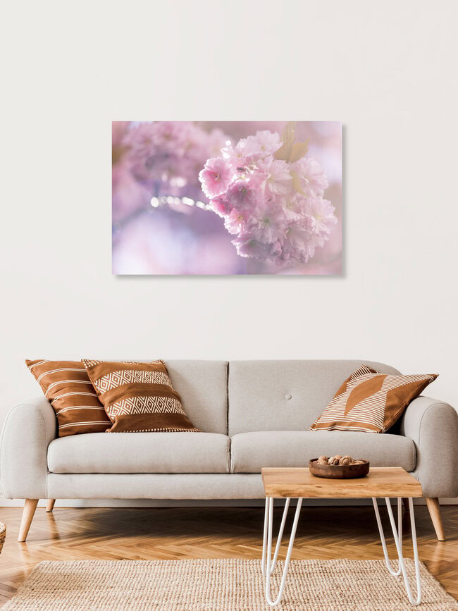 Kirschblüten im Gegenlicht, Deutschland – Fotokunst von Nadja Jacke als Poster oder Acrylglasbild