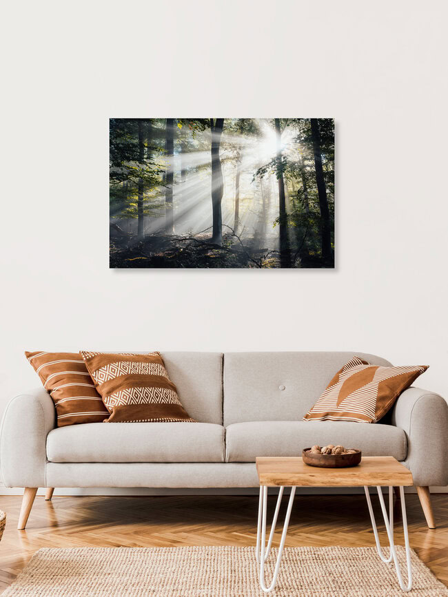 Mystischer Reinhardswald, Deutschland – Fotokunst von Maximilian Fischer als Poster oder Acrylglasbild