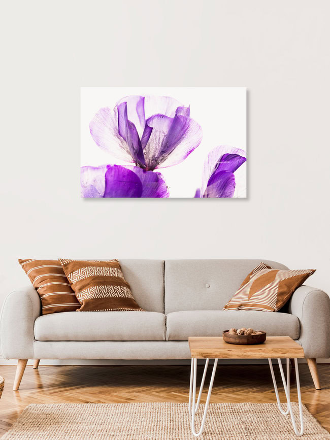 Pinke Blüten der Flammenblumen in Eis, Deutschland – Fotokunst von Marc Heiligenstein als Poster oder Acrylglasbild