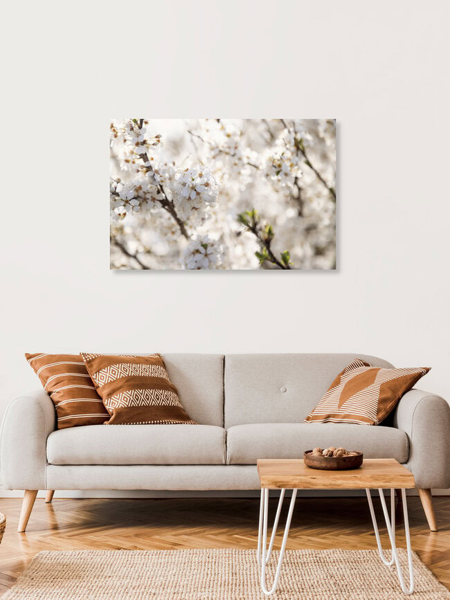Weißblühende Obstblüte im Frühling mit Bokeh, Deutschland – Fotokunst von Nadja Jacke als Poster oder Acrylglasbild